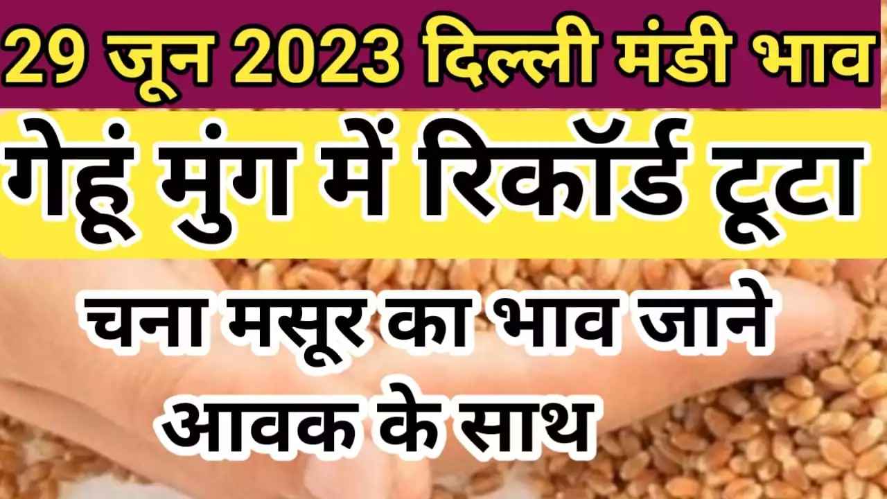 {29 जून 2023 } दिल्ली मंडी मैं मूंग तथा गेहूं में तेजी चना मसूर का भाव delhi mandi rate today