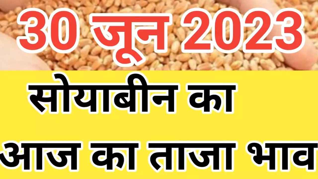 30 {जून 2023 new update} सोया प्लांट का भाव 30 jun soya plant rate today