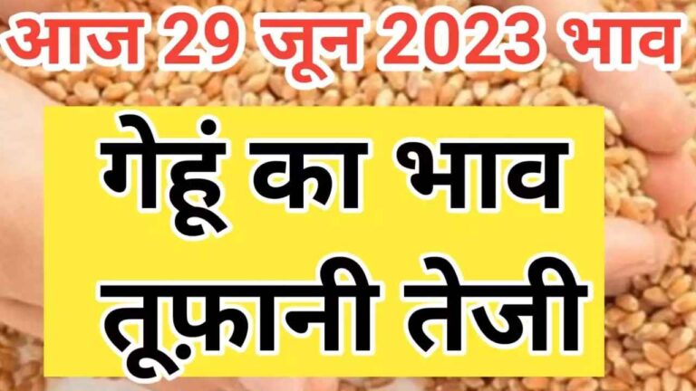 {29 जून 2023} आज के गेहूं का ताजा भाव gehu rate today