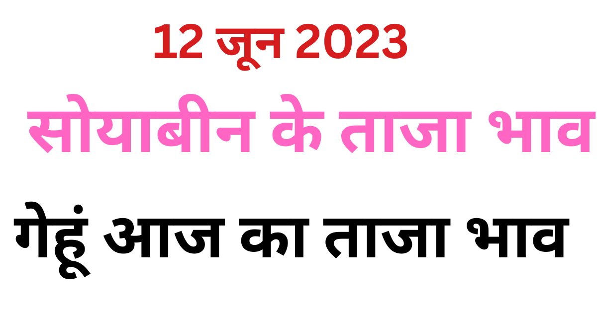 आज के सोयाबीन तथा गेहूं के ताजा भाव 12 jun 2023 today mandi rate