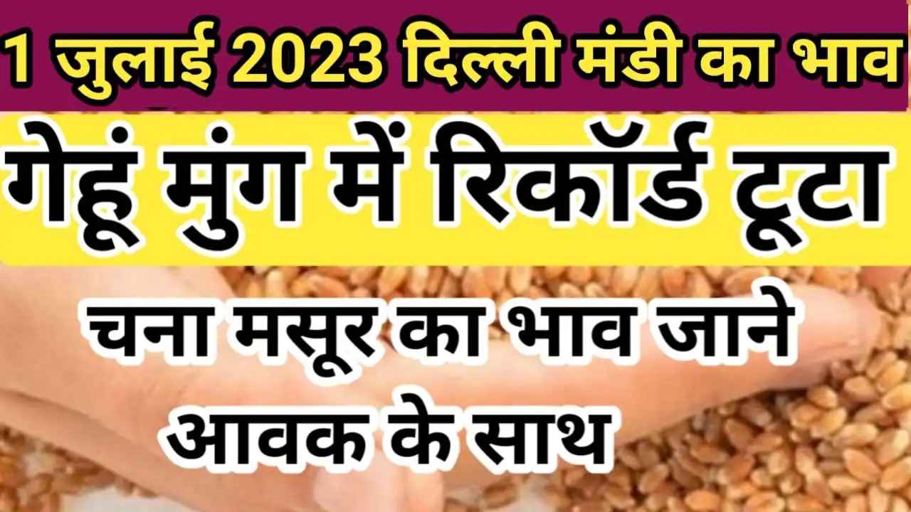 {01 july 2023 } दिल्ली मंडी मैं मूंग तथा गेहूं में तेजी चना मसूर का भाव delhi mandi rate today