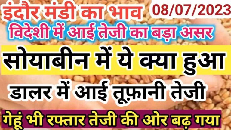 {08 july 2023} इंदौर मंडी का भाव indore mandi rate today