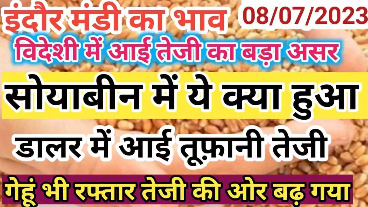 {08 july 2023} इंदौर मंडी का भाव indore mandi rate today