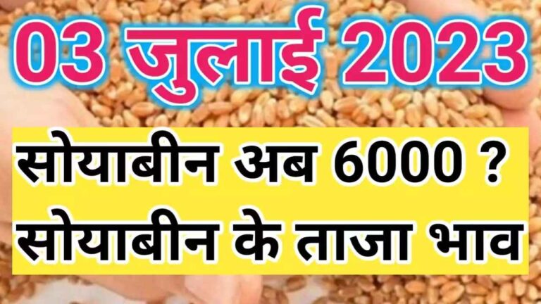 {3 जुलाई 2023 नया अपडेट} सोयाबीन में आ गई तूफानी तेजी जाने आज का ताजा भाव soyabean rate today
