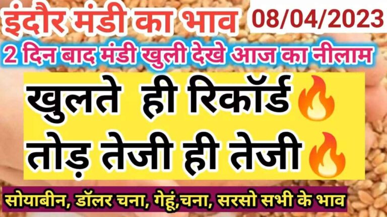 {17 August 2023} इंदौर मंडी का भाव indore mandi rate today 