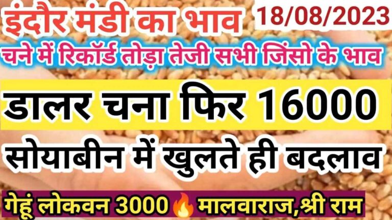 {18 August 2023} इंदौर मंडी का भाव indore mandi rate today 