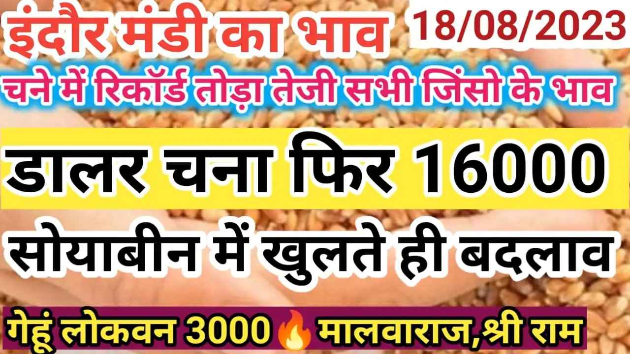 {18 August 2023} इंदौर मंडी का भाव indore mandi rate today 