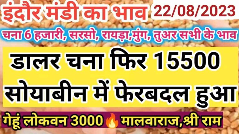{22 August 2023} इंदौर मंडी का भाव indore mandi rate today 
