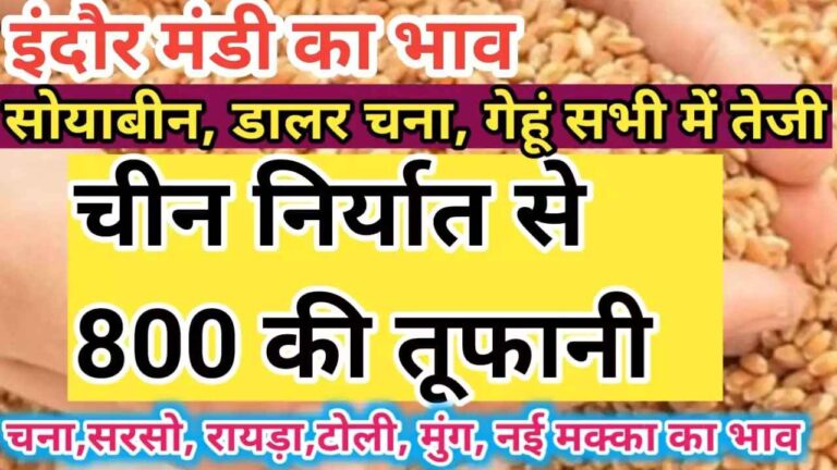 {Today Mandi Bhav} इंदौर मंडी का  indore mandi rate today 