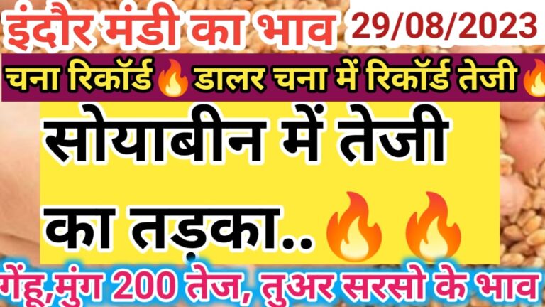 {Today Mandi Bhav} इंदौर मंडी का  indore mandi rate today