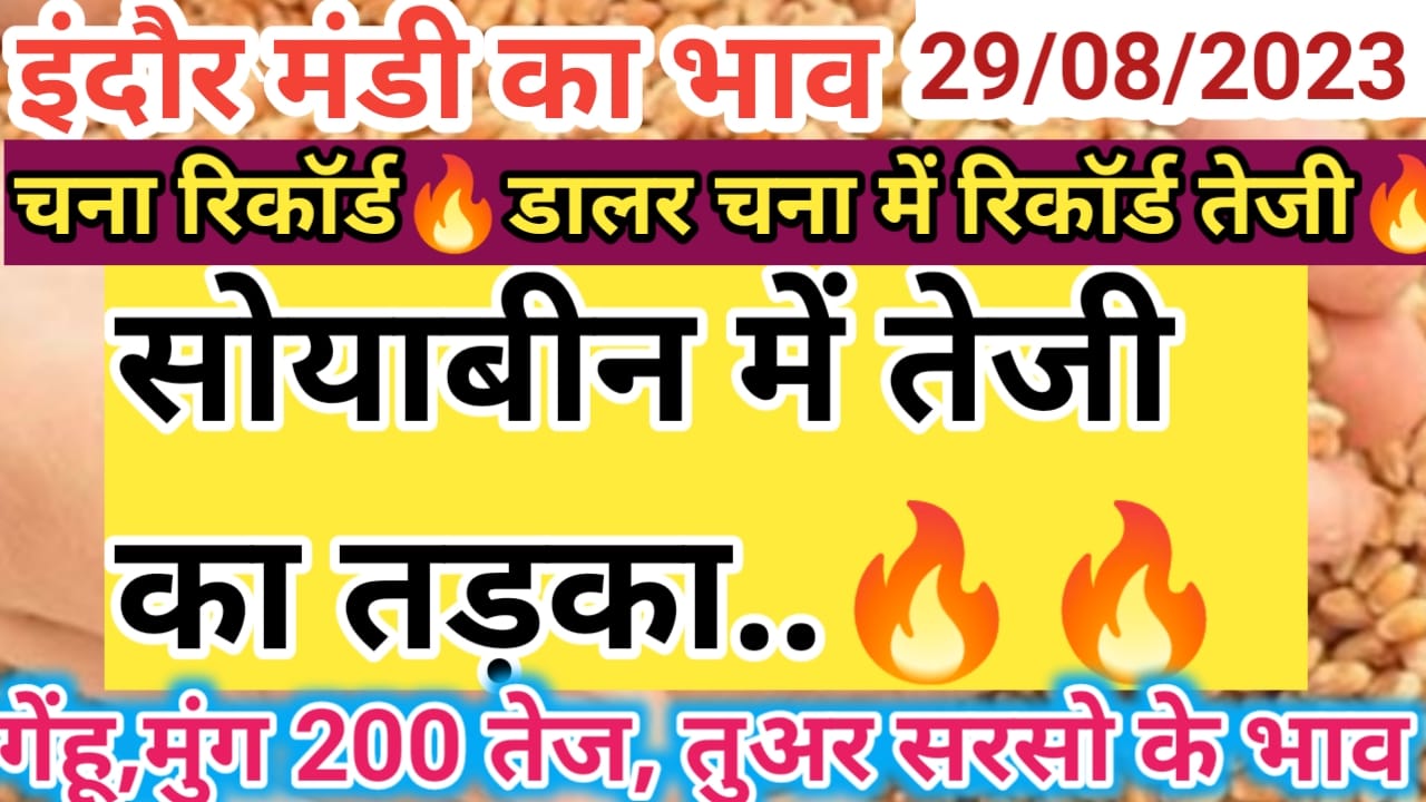{Today Mandi Bhav} इंदौर मंडी का  indore mandi rate today