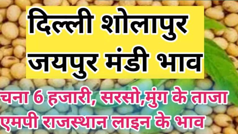 {आज के} दिल्ली और सोलापुर मंडी के आज के ताजा भाव delhi mandi rate today