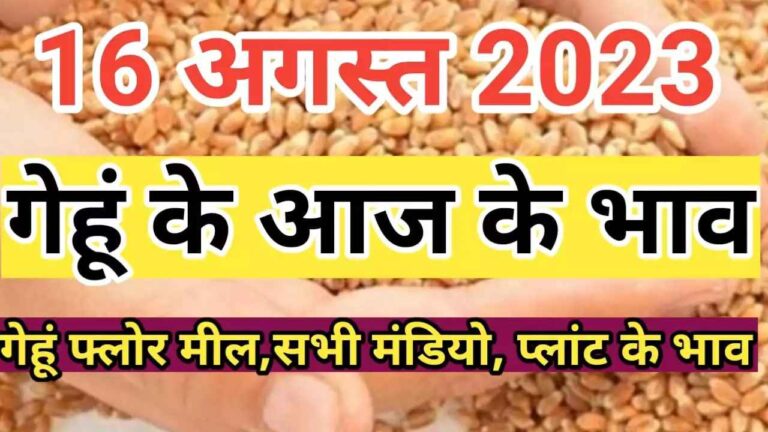 आज के ताजा गेहूं के भाव gehu rate today gehu ka bhav aaj ka