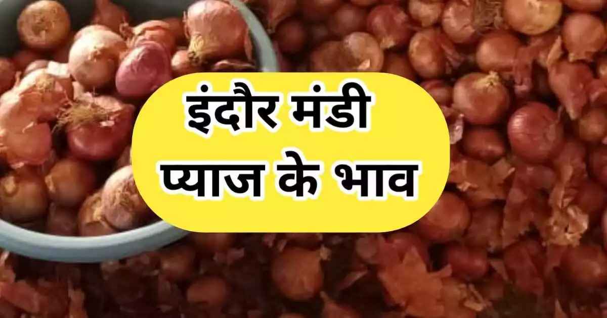 {आज के}इंदौर मंडी के प्याज के ताजा भाव pyaj ke bhav aaj ke onion rate today