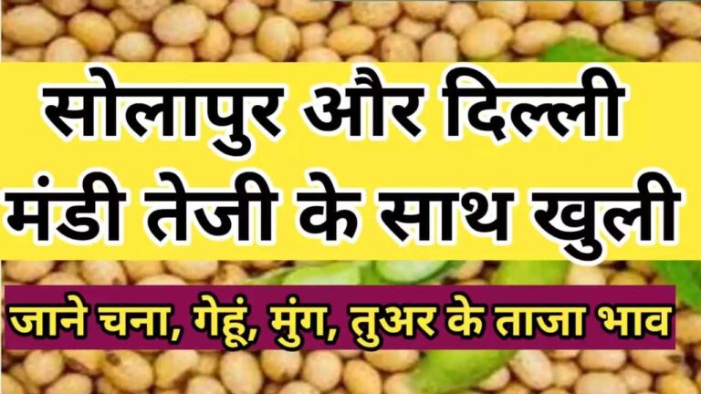 दिल्ली-और-सोलापुर-मंडी-के-आज-के-ताजा-भाव-delhi-and-solapur-rate-rate-toady