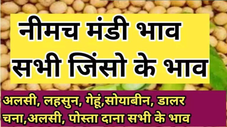 नीमच मंडी के आज के ताजा भाव aaj ke neemach mandi ke bhav neemach mandi rate today 