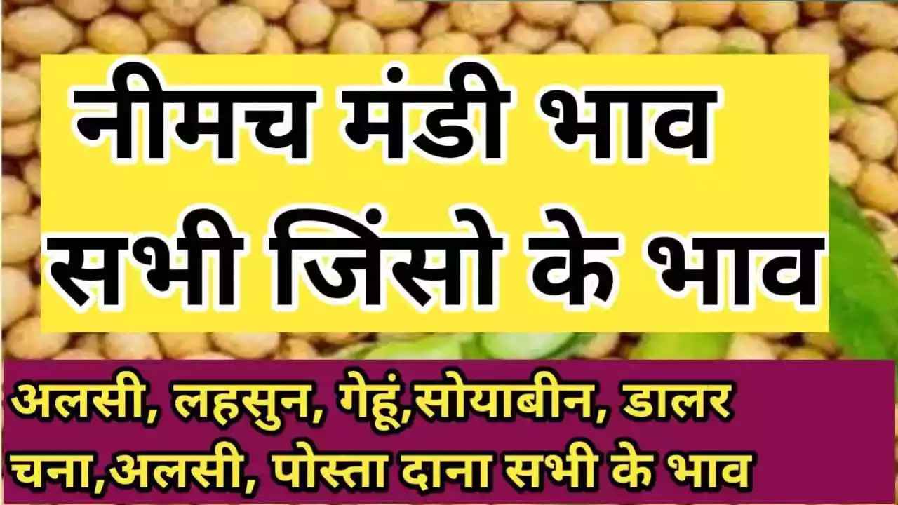 नीमच मंडी के आज के ताजा भाव aaj ke neemach mandi ke bhav neemach mandi rate today 
