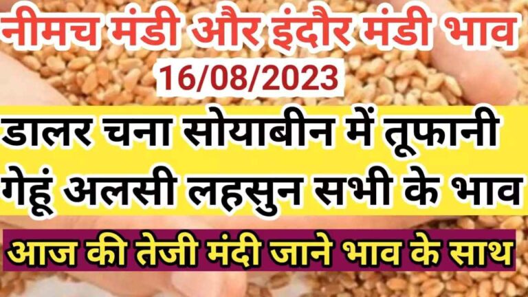 नीमच मंडी के आज के ताजा भाव aaj ke neemach mandi ke bhav neemach mandi rate today