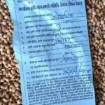 {ये लो नई सोयाबीन} का श्रीगणेश हुआ आज के सोयाबीन के ताजा भाव जाने soyabean rate today