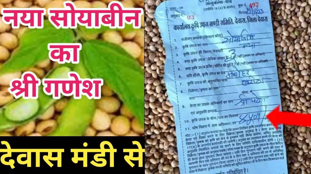 {ये लो नई सोयाबीन} का श्रीगणेश हुआ आज के सोयाबीन के ताजा भाव जाने soyabean rate today