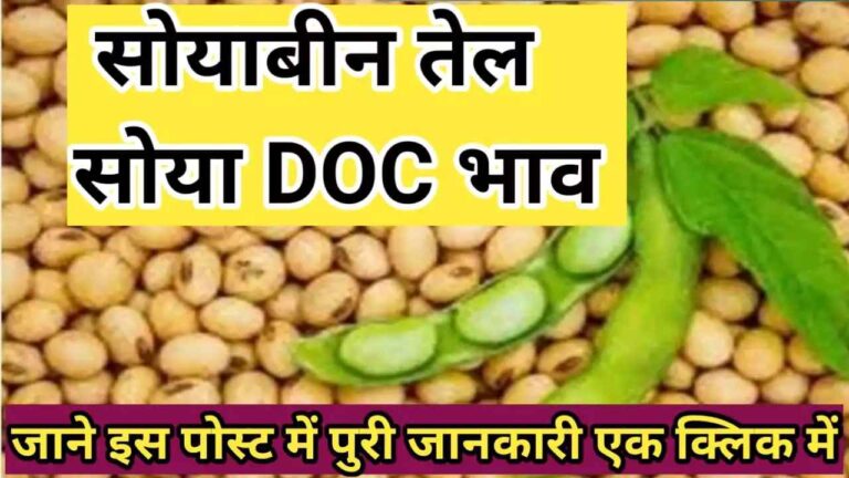 सोया ऑयल और सोया डिओसी के आज के ताजा भाव soya and soya doc rate today