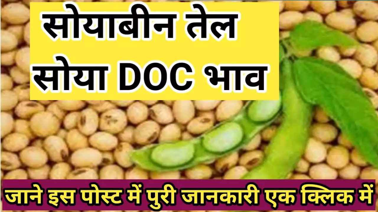 सोया ऑयल और सोया डिओसी के आज के ताजा भाव soya and soya doc rate today