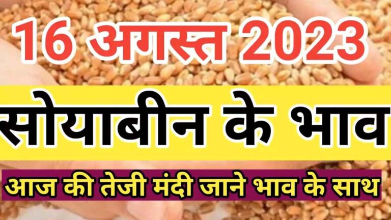 सोयाबीन के आज के ताजा भाव soyabean rate today soyabean ke aaj ke bhav