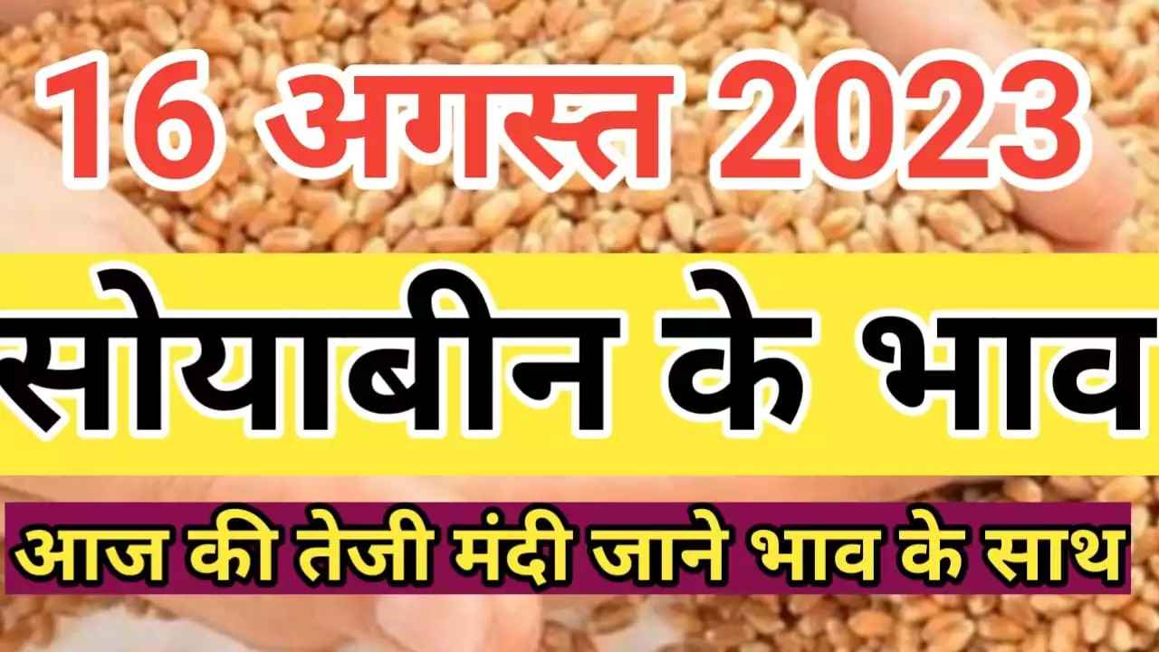 सोयाबीन के आज के ताजा भाव soyabean rate today soyabean ke aaj ke bhav