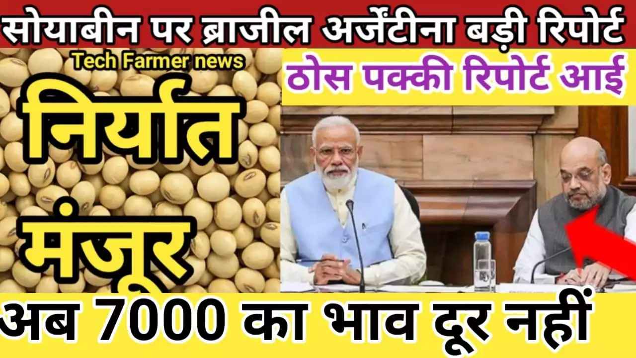 सोयाबीन से जुड़ी खबरें soyabean news today soybean rate today