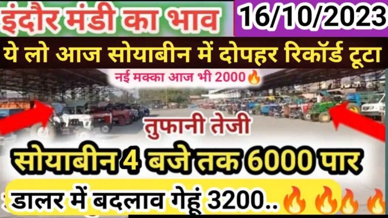 {16 October 2023} इंदौर मंडी का भाव indore mandi rate today 