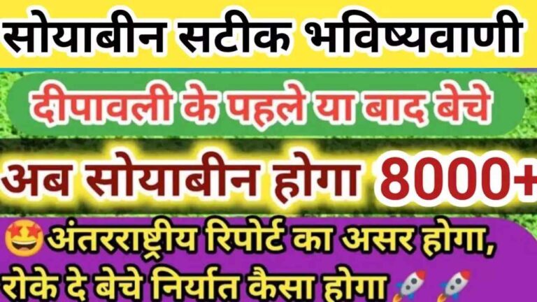 दिवाली बाद  सोयाबीन का भाव क्या रहेगा जाने पूरी तेजी मंदी रिपोर्ट सोयाबीन से जुड़ी खबरें soyabean rate toaday