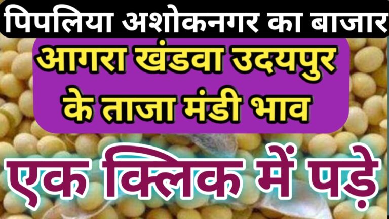 आज के आगरा उदयपुर खंडवा अशोक नगर पिपलिया मंडी के ताजा भाव mandi rate today