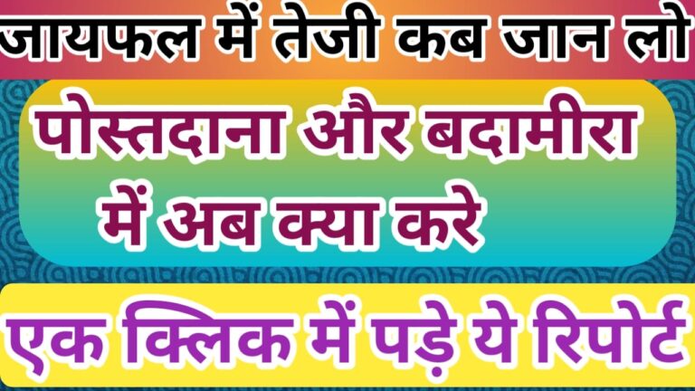 जायफल पोस्ता दाना बादामगिरी का भविष्य कैसा रहेगा जाने इस तेजी मंदी रिपोर्ट में