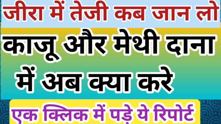जीरा मेथी दाना गोला और काजू सटीक तेजी मंदी रिपोर्ट जान लो jeera future report today