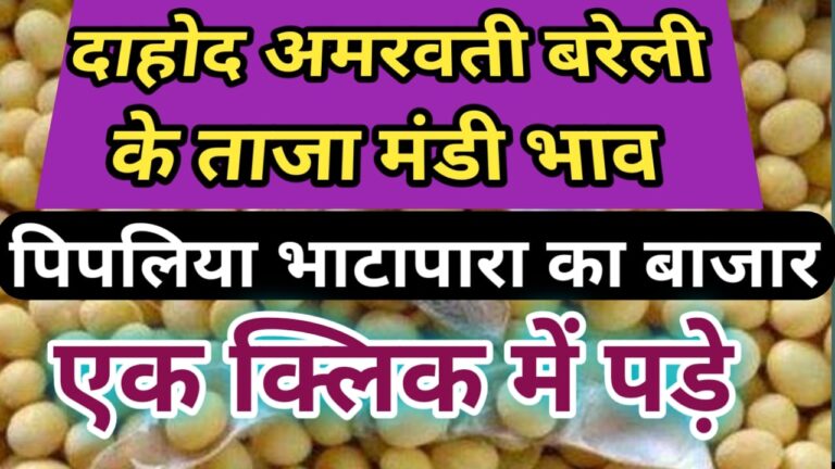 दाहोद अमरावती भाटापारा बरेली जोबट पिपलिया के बाजारों में आज बदलाव दिखा जाने सभी के भाव