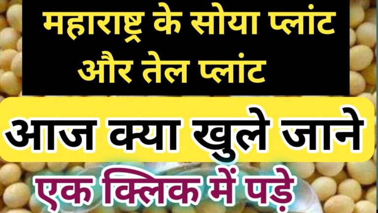 महाराष्ट्र सोया प्लांट और सोया तेल आज क्या खुला जाने maharastra soya plant rate today
