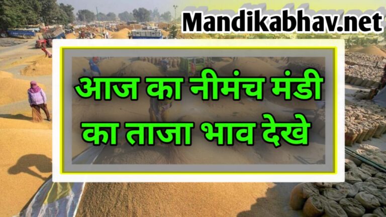 आज का ताजा नीमंच मंडी भाव(Today's latest Neemuch Mandi rate)