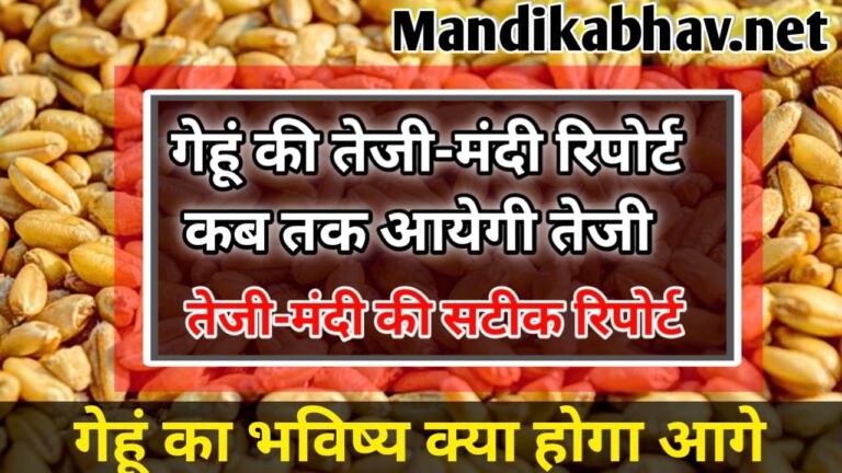 गेहूं तेजी-मंदी रिपोर्ट(The future of wheat gehu ka bhav kab badega