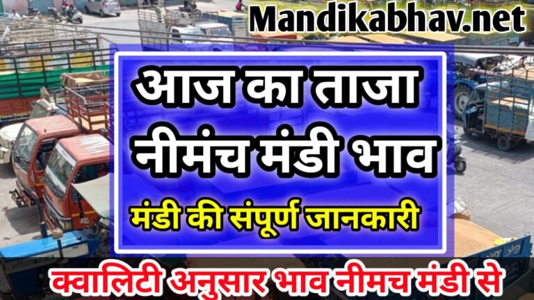 नीमच मंडी के ताजा भाव Neemach mandi rate today neemach mandi rate today