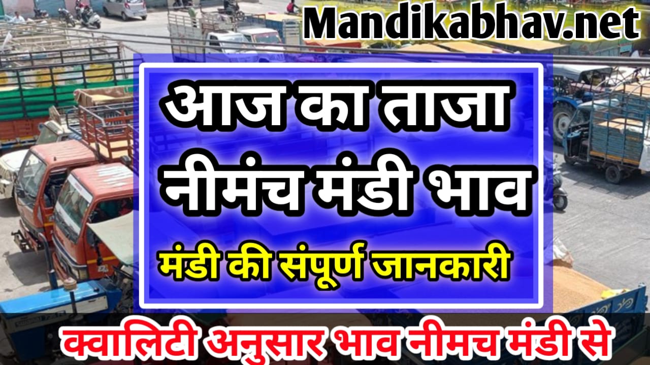 नीमच मंडी के ताजा भाव Neemach mandi rate today neemach mandi rate today