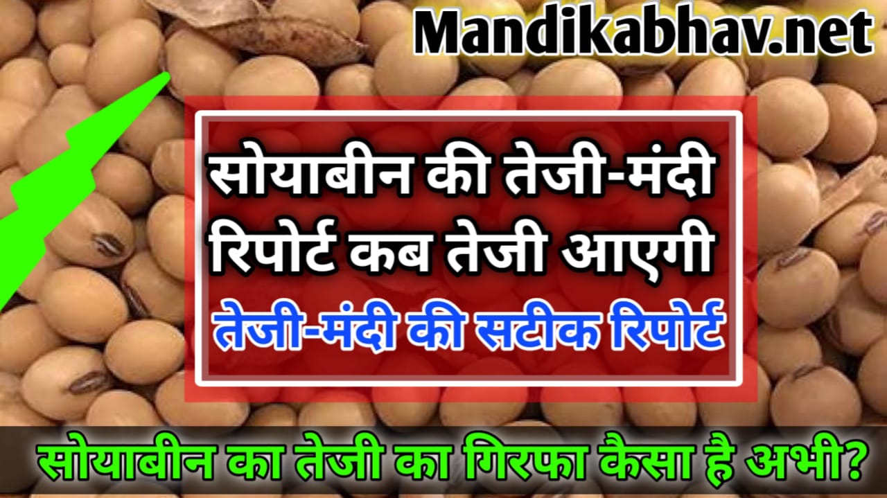 सोयाबीन से जुड़ी बड़ी खबर सोयाबीन का भाव 6000 कब होगा अभी जान लो soyabean rate today soyabin ka bhav