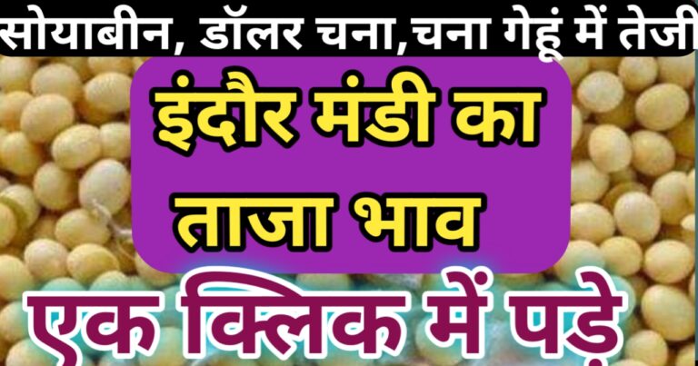{Today Mandi Bhav} : indore mandi rate today