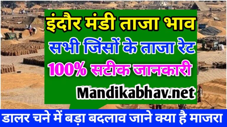 {Today Mandi Bhav} : indore mandi rate today