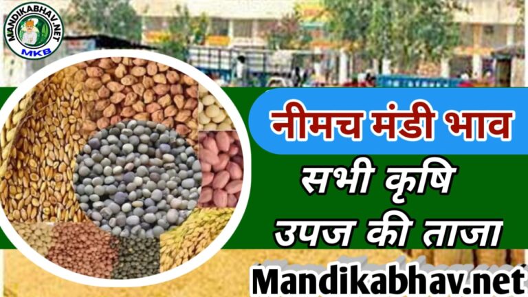 Neemach Mandi Bhav
