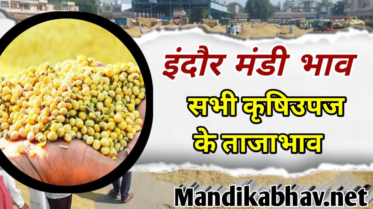 Indore Mandi soyabean Bhav