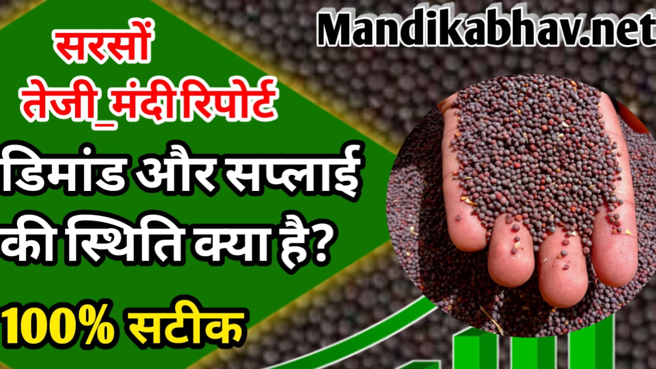 सरसों में आगे की बाजार की चाल किस तरह से रहेगी जाने समीक्षा रिपोर्ट !