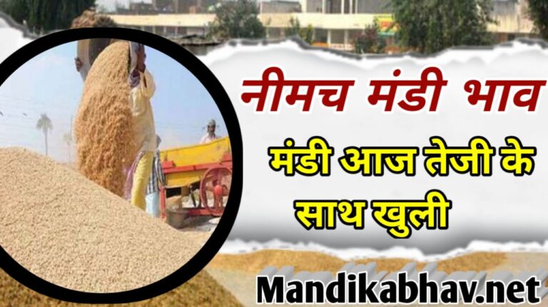Neemach mandi rate today