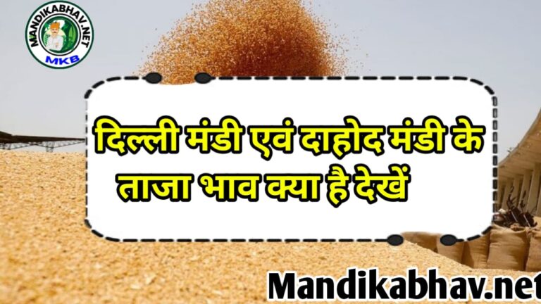 Delhi And Dahod Rate Today  आज दिल्ली मंडी का बाजार कैसा खुला जाने !