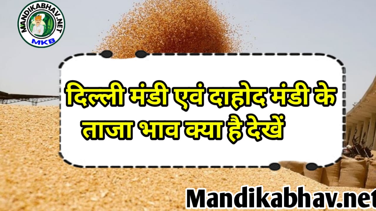 Delhi And Dahod Rate Today  आज दिल्ली मंडी का बाजार कैसा खुला जाने !