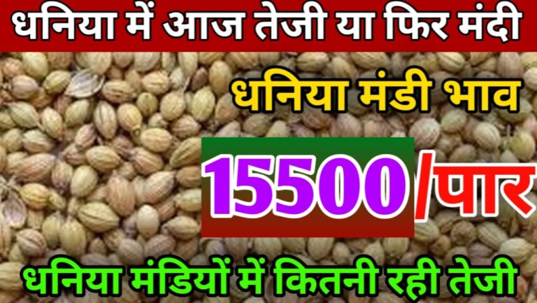 Dhaniya ka Bhav बीच की मांग के कारण धनिया में तेजी !
